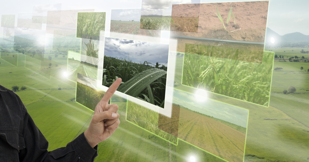 online agriculture product