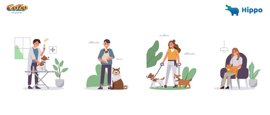 Pet care | Hippo and CoZo pet | Jungleworks